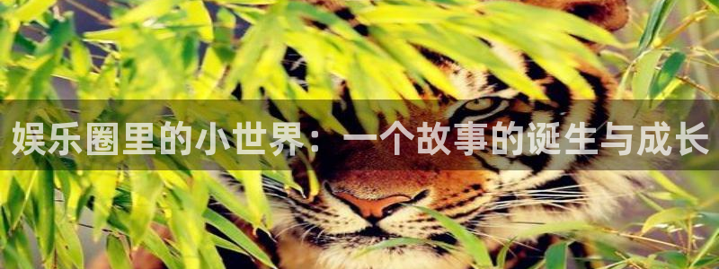 沐鸣2主管