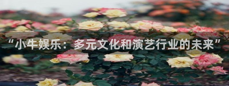 沐鸣娱乐