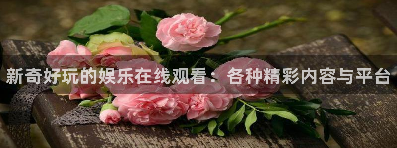 沐鸣2平台