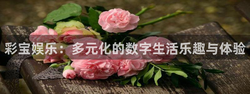 沐鸣2登录